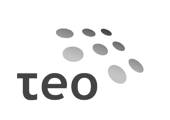 наши клиенты по наружной рекламе - teo